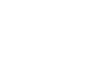 Copolt.cl