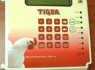 Báscula de pesaje electrónico 1001