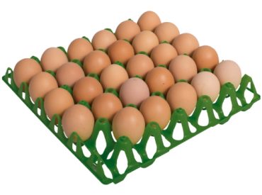 bandejas-de-huevos-main