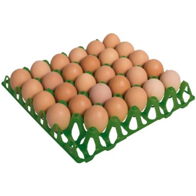 bandejas-de-huevos-main